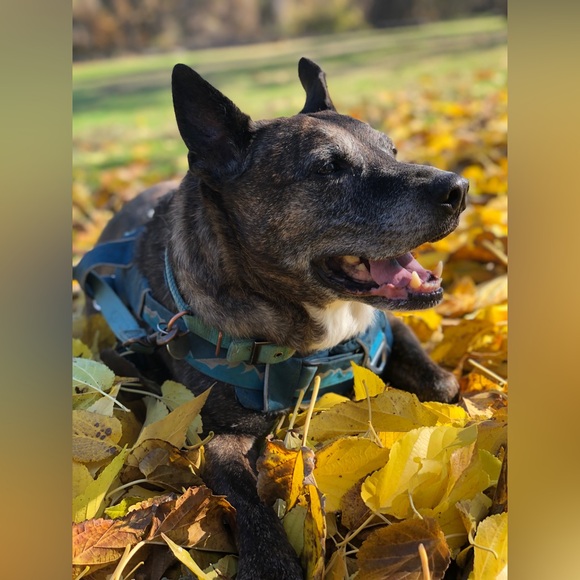 End of duty 6/12/24 - Picture 4 of 15